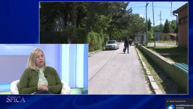 Photo of Bošković: Broj upisanih na Univerzitete je stabilan, ali promjena demografske slike BIH je evidentna