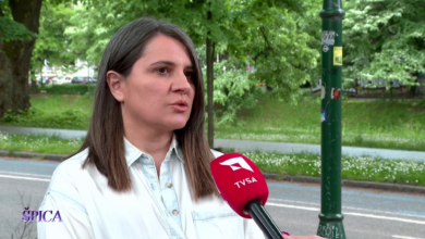 Photo of Elma Karišik za TVSA: Odlazak Šmita veliki politički trenutak za Dodika, BiH ulazi u neizvjestan period