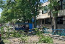 Photo of Jak vjetar oborio drveće u Sarajevu, zabilježena manja oštećenja