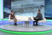 Photo of VIDEO/Šunje: Najezde zmija nema, u maju i junu ih viđamo samo zbog jedne stvari