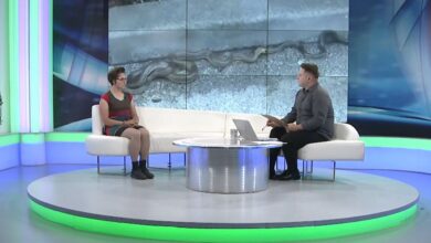 Photo of VIDEO/Šunje: Najezde zmija nema, u maju i junu ih viđamo samo zbog jedne stvari