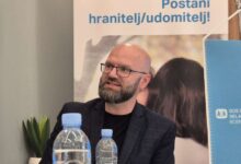 Photo of SOS Dječija sela u BiH: Hraniteljstvo mijenja živote – Ljubav, podrška i prilika za bolju budućnost