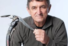 Photo of Stipe Božeć za TVSA: “Svi su oni voljeli planinu i mi volimo planinu – tim naša tuga je veća”