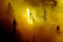 Photo of Požar na Trebeviću ponovo se rasplamsao, evakuisan radnik s ugroženog područja