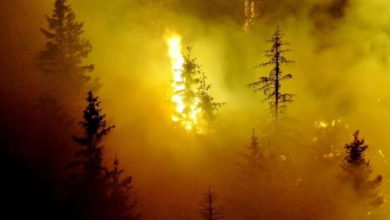 Photo of Požar na Trebeviću ponovo se rasplamsao, evakuisan radnik s ugroženog područja