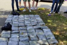 Photo of U Sarajevu presretanjem auta zaplijenjeno 73 kilograma kanabisa