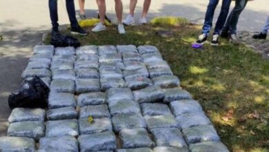 Photo of U Sarajevu presretanjem auta zaplijenjeno 73 kilograma kanabisa