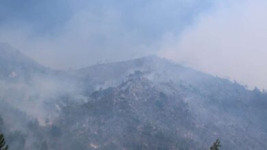 Photo of Više požara zabilježeno u HNŽ-u, vatrogasci i dalje na terenu kod Konjica