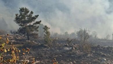 Photo of Požar na Trebeviću, iako je bio lokalizovan, ponovo se aktivirao noćas