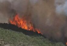 Photo of Jutros izbio požar u reonu planine Plješevice, minirano područje otežava intervenciju