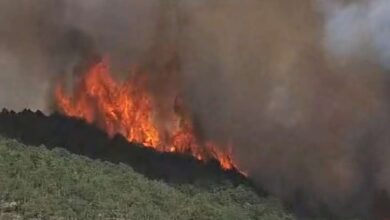 Photo of Jutros izbio požar u reonu planine Plješevice, minirano područje otežava intervenciju