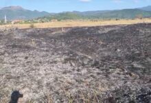 Photo of Lokalizovan požar na Hrasničkom polju između Hrasnice i Sokolović Kolonije: Brzom reakcijom vatrogasaca spašeni objekti i stoka
