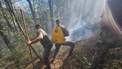 Photo of Pripadnici Oružanih snaga BiH nastavljaju gašenje požara