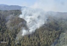 Photo of Požar na Čvrsnici i dalje aktivan, očekuje se pomoć helikoptera OS BiH